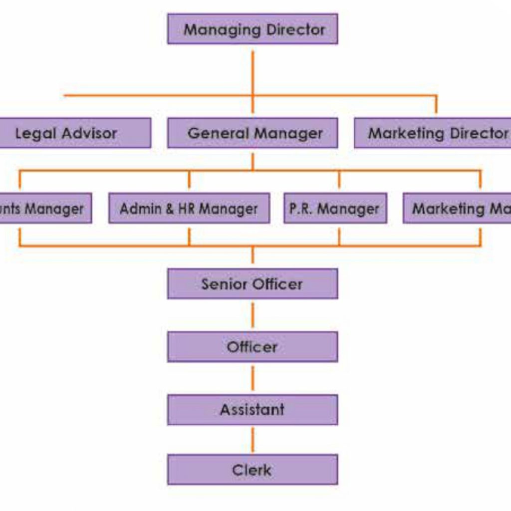 Organizational Chart