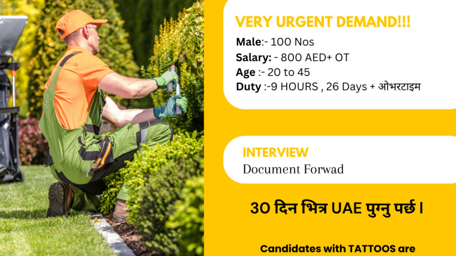 VERY URGENT DEMAND!!! - LANDSCAPING Job in Dubai -100 Nos